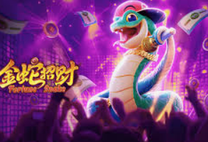 pg入口电脑免费版